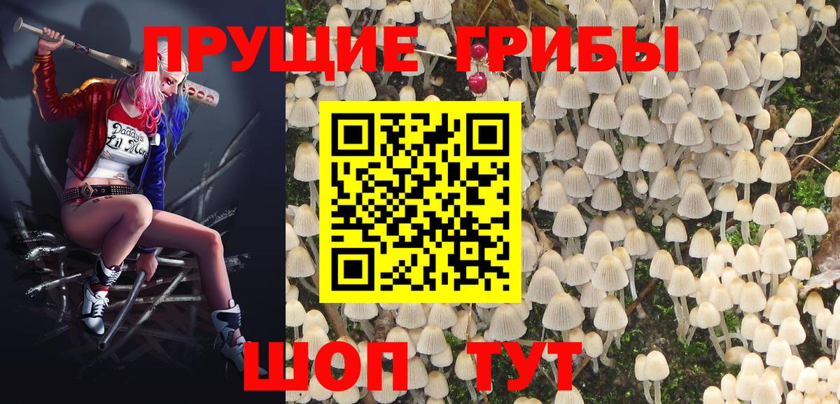 Псилоцибиновые грибы мицелий  Вход с VPN  Протвино 